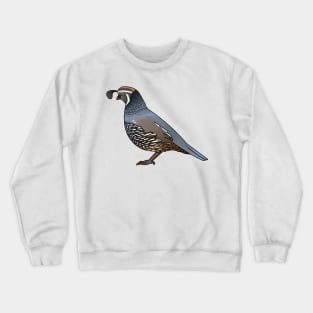 California quail bird cartoon illustration Crewneck Sweatshirt